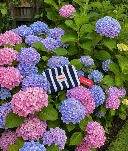 nantucket